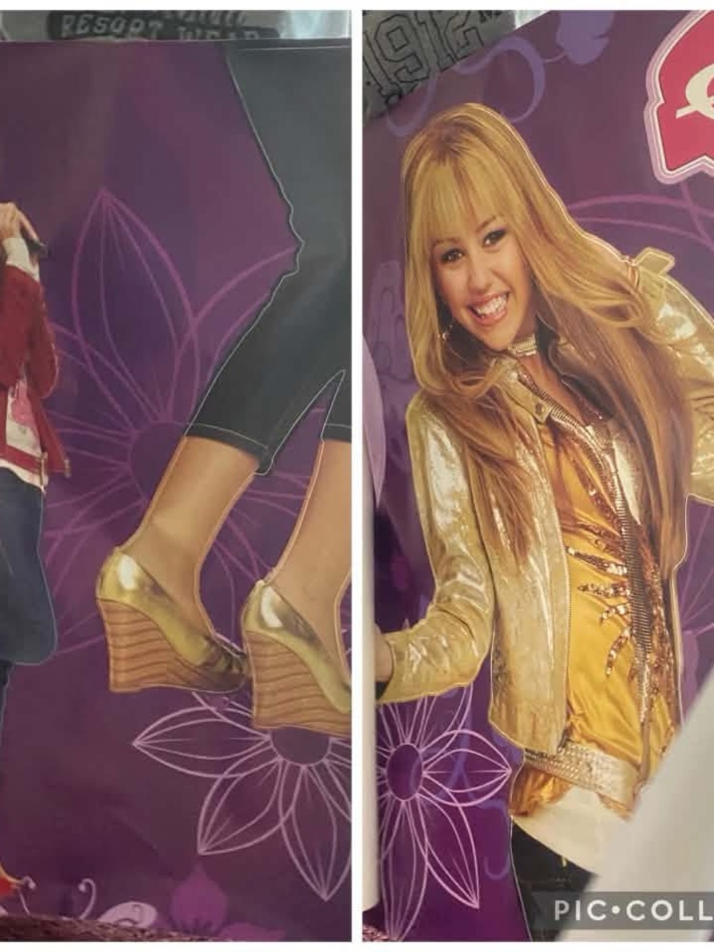 Hannah Montana Fathead